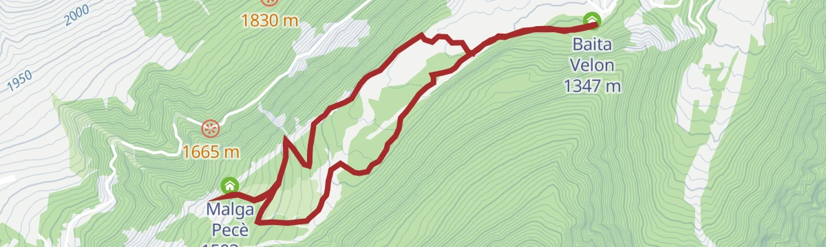 Route map: Baita Velon- Malga Pecè